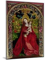 Madonna of the Rose Bower, 1473-Martin Schongauer-Mounted Giclee Print