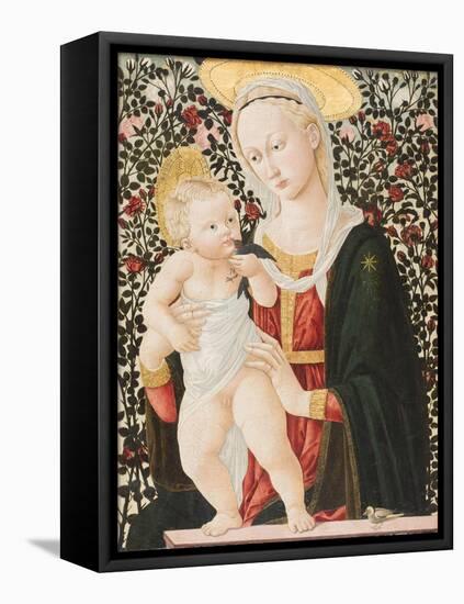 Madonna of the Roses, C.1485-90-Pseudo Pier Francesco Fiorentino-Framed Stretched Canvas