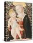Madonna of the Roses, C.1485-90-Pseudo Pier Francesco Fiorentino-Stretched Canvas
