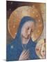 Madonna of the Shadows-Fra Angelico-Mounted Giclee Print