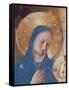 Madonna of the Shadows-Fra Angelico-Framed Stretched Canvas