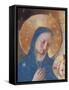 Madonna of the Shadows-Fra Angelico-Framed Stretched Canvas