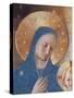 Madonna of the Shadows-Fra Angelico-Stretched Canvas