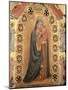 Madonna of the Stars-Fra Angelico-Mounted Giclee Print