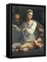 Madonna of the Veil, 1535-Sebastiano del Piombo-Framed Stretched Canvas