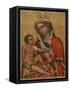 Madonna of Veveri, C1350-null-Framed Stretched Canvas