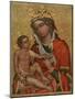 Madonna of Veveri, C1350-null-Mounted Giclee Print