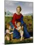 Madonna on the Meadow, 1505 or 1506-Raphael-Mounted Giclee Print