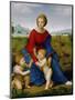 Madonna on the Meadow, 1505 or 1506-Raphael-Mounted Giclee Print