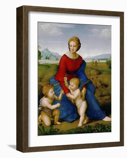 Madonna on the Meadow, 1505 or 1506-Raphael-Framed Giclee Print