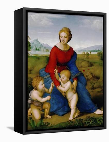 Madonna on the Meadow, 1505 or 1506-Raphael-Framed Stretched Canvas