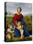 Madonna on the Meadow, 1505 or 1506-Raphael-Stretched Canvas