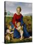 Madonna on the Meadow, 1505 or 1506-Raphael-Stretched Canvas