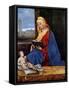 Madonna Reading-Giorgione-Framed Stretched Canvas