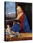 Madonna Reading-Giorgione-Stretched Canvas