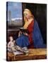 Madonna Reading-Giorgione-Stretched Canvas