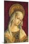 Madonna's Face, Detail from Central Panel of Triptych of Camerino-Carlo Crivelli-Mounted Giclee Print