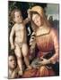 Madonna Sewing-Giovanni Francesco Caroto-Mounted Giclee Print