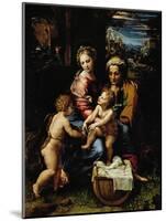 Madonna with a Fish, Around 1513-Raphael-Mounted Giclee Print