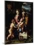 Madonna with a Fish, Around 1513-Raphael-Mounted Giclee Print