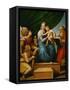 Madonna with a Fish (In the Hand of Young Tobias, Accompanied by the Archangel Raphael)-Raphael-Framed Stretched Canvas