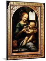 'Madonna with a Flower', (Madonna Benois), 1478-Leonardo Da Vinci-Mounted Giclee Print