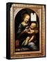 'Madonna with a Flower', (Madonna Benois), 1478-Leonardo Da Vinci-Framed Stretched Canvas
