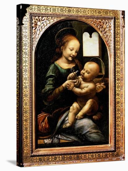 'Madonna with a Flower', (Madonna Benois), 1478-Leonardo Da Vinci-Stretched Canvas