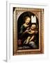 'Madonna with a Flower', (Madonna Benois), 1478-Leonardo Da Vinci-Framed Giclee Print