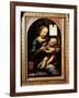 'Madonna with a Flower', (Madonna Benois), 1478-Leonardo Da Vinci-Framed Giclee Print