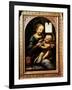 'Madonna with a Flower', (Madonna Benois), 1478-Leonardo Da Vinci-Framed Giclee Print