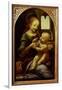 Madonna with a Flower, or Madonna Benois, C.1478-Leonardo da Vinci-Framed Giclee Print