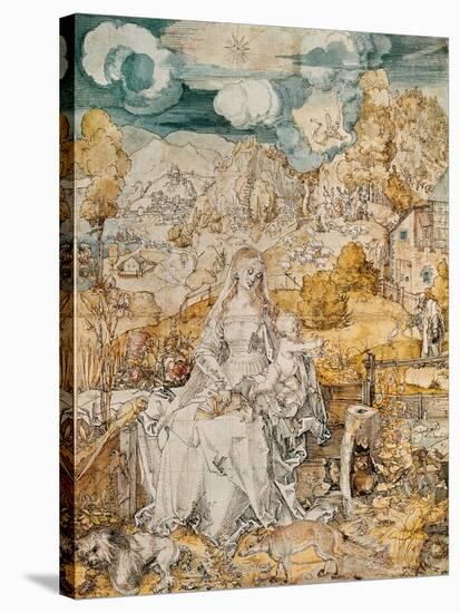 Madonna with a Multitude of Animals. Watercolour.-Albrecht Dürer-Stretched Canvas