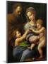 Madonna with a Rose-Raphael-Mounted Giclee Print