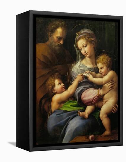 Madonna with a Rose-Raphael-Framed Stretched Canvas