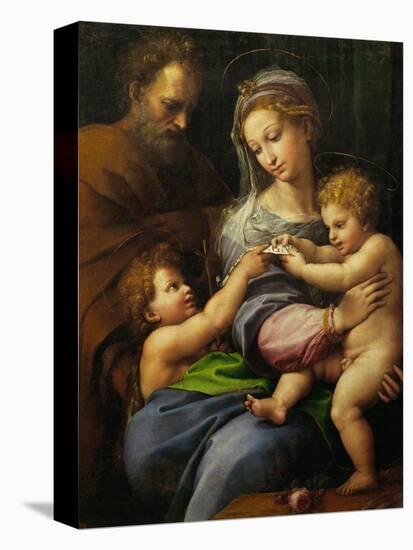 Madonna with a Rose-Raphael-Stretched Canvas