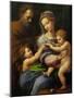 Madonna with a Rose-Raphael-Mounted Giclee Print