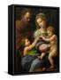 Madonna with a Rose-Raphael-Framed Stretched Canvas