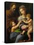 Madonna with a Rose-Raphael-Stretched Canvas