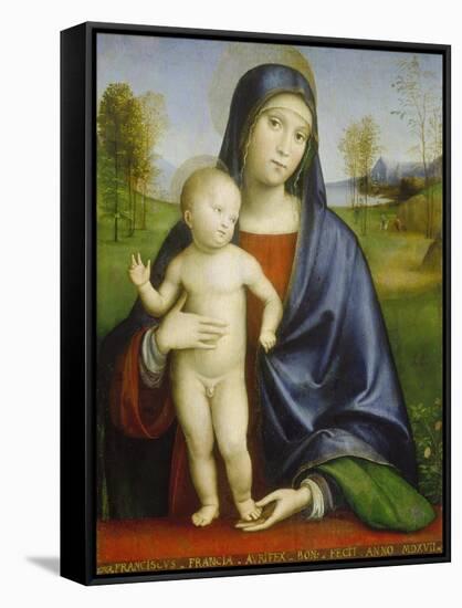 Madonna with Child, 1517-Francesco Francia-Framed Stretched Canvas