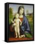 Madonna with Child, 1517-Francesco Francia-Framed Stretched Canvas