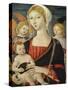 Madonna with Child and Angels, Ca 1470-Matteo di Giovanni-Stretched Canvas