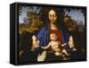 Madonna with Child and Devotees, 1505-null-Framed Stretched Canvas