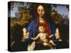 Madonna with Child and Devotees, 1505-null-Stretched Canvas