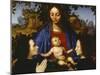 Madonna with Child and Devotees, 1505-null-Mounted Giclee Print