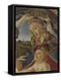 Madonna with Child and Five Angels (Madonna Del Magnificat)-Sandro Botticelli-Framed Stretched Canvas