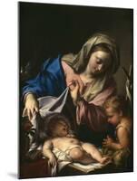 Madonna With Child and Saint John-Francesco Trevisani-Mounted Giclee Print