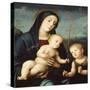 Madonna with Child and St John the Baptist-Francesco Francia-Stretched Canvas