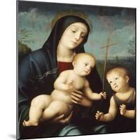 Madonna with Child and St John the Baptist-Francesco Francia-Mounted Giclee Print