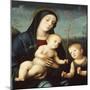 Madonna with Child and St John the Baptist-Francesco Francia-Mounted Giclee Print